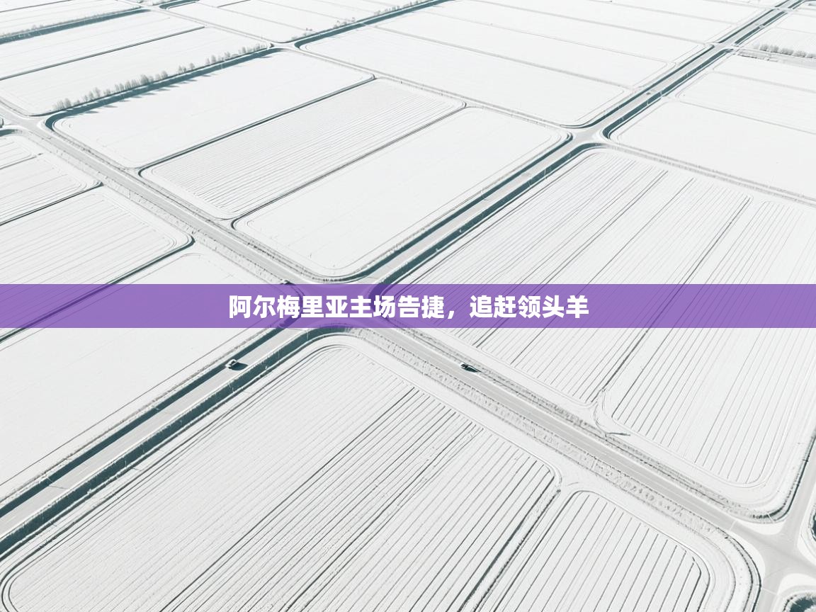 阿尔梅里亚主场告捷，追赶领头羊