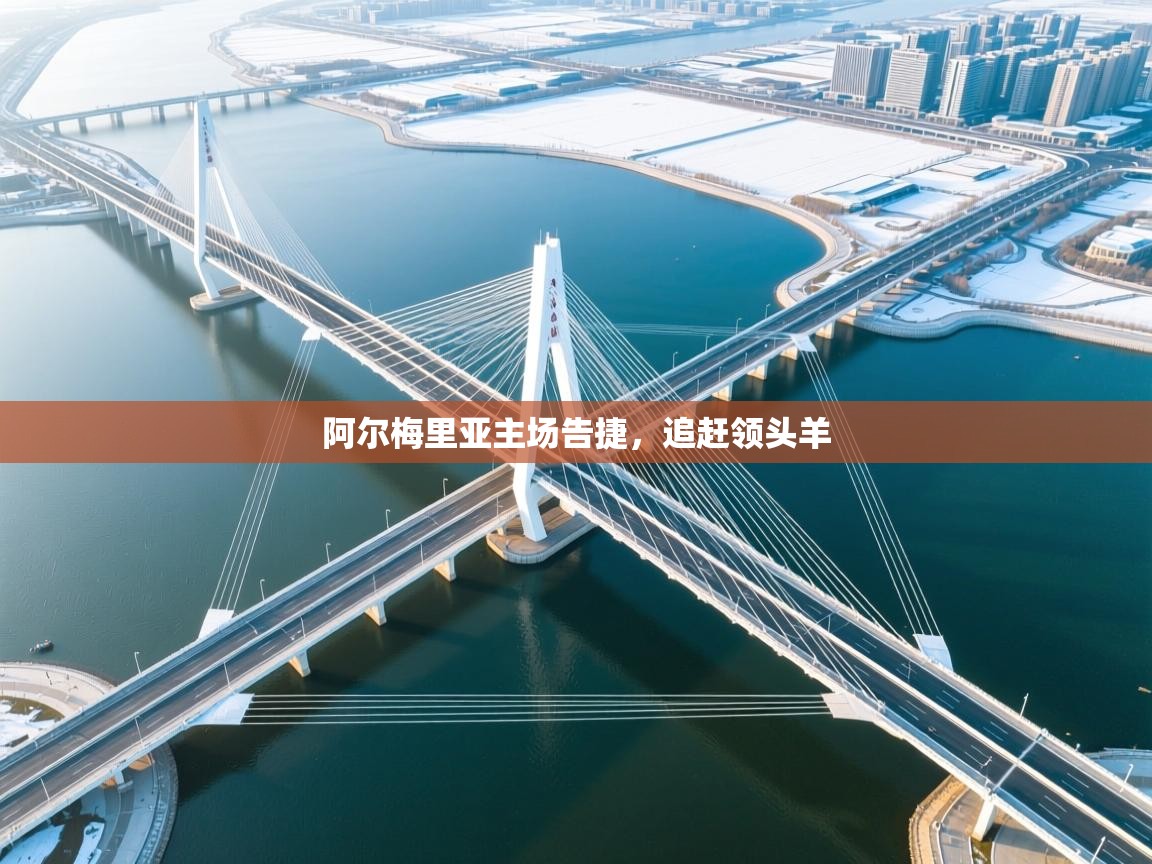 阿尔梅里亚主场告捷，追赶领头羊  第2张