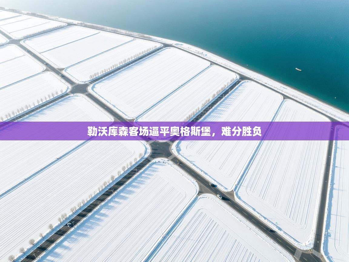 勒沃库森客场逼平奥格斯堡，难分胜负  第2张